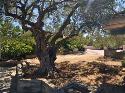 Apartment Two bedroom apartment with terrace and sea view Stupin Čeline, Rogoznica A-2096-a - Outdoor photo 15