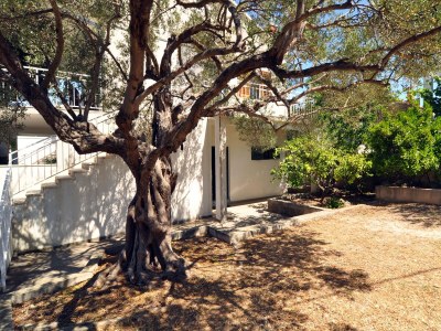 Apartment Two bedroom apartment with terrace and sea view Stupin Čeline, Rogoznica A-2096-a - Outdoor photo 16