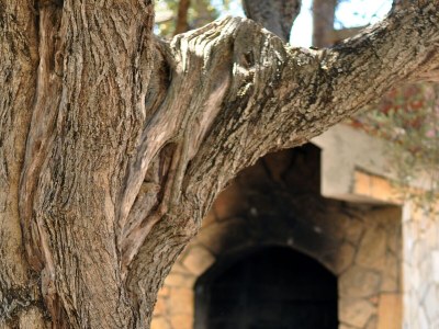 Apartment Two bedroom apartment with terrace and sea view Stupin Čeline, Rogoznica A-2096-b - Outdoor photo 13