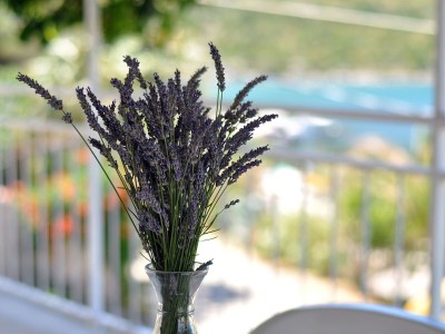 Apartment Two bedroom apartment with terrace and sea view Stupin Čeline, Rogoznica A-2096-b - Outdoor photo 29