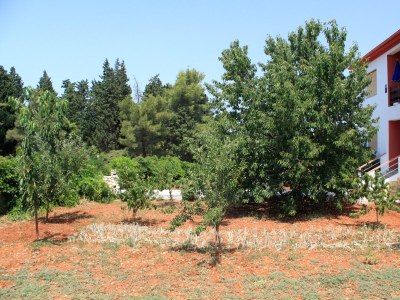 Apartment Two bedroom apartment with terrace Ugljan A-830-b - Outdoor photo 6