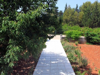 Apartment Two bedroom apartment with terrace Ugljan A-830-b - Outdoor photo 7