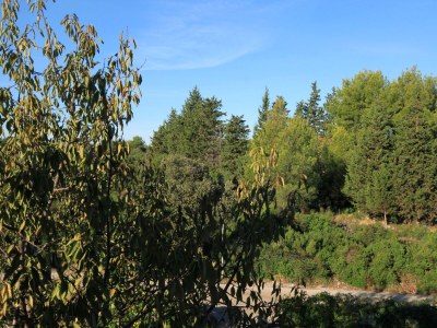 Apartment Two bedroom apartment with terrace Ugljan A-830-b - Outdoor photo 23