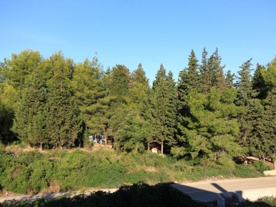 Apartment Two bedroom apartment with terrace Ugljan A-830-b - Outdoor photo 24