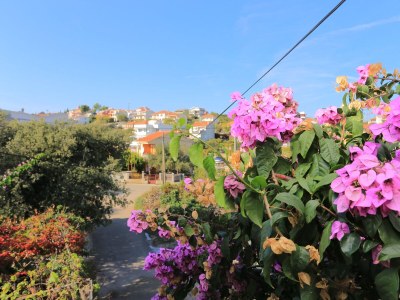 Apartment One bedroom apartment with terrace Slatine, Čiovo A-2566-b - Outdoor photo 11