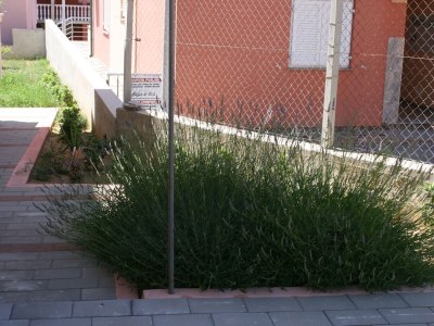 Apartment Two bedroom apartment with terrace Novalja, Pag A-3294-a - Outdoor photo 9