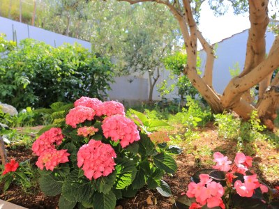 Apartment One bedroom apartment with terrace and sea view Duće, Omiš A-2737-b - Outdoor photo 13