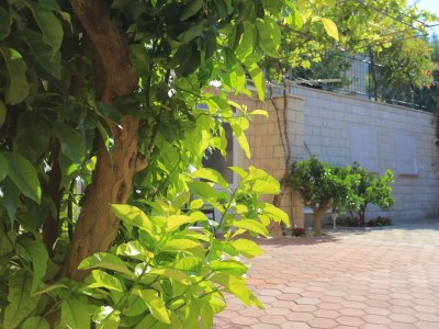 Apartment One bedroom apartment with terrace and sea view Duće, Omiš A-2737-b - Outdoor photo 18