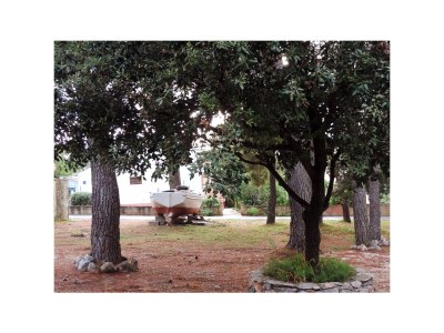 Apartment Two bedroom apartment with terrace Mirca, Brač A-2886-b - Outdoor photo 8