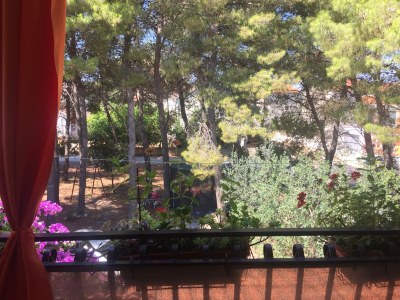 Apartment Two bedroom apartment with terrace Mirca, Brač A-2886-b - Outdoor photo 27