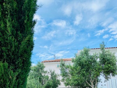 Apartment Two bedroom apartment near beach Postira, Brač A-2928-a - Outdoor photo 3