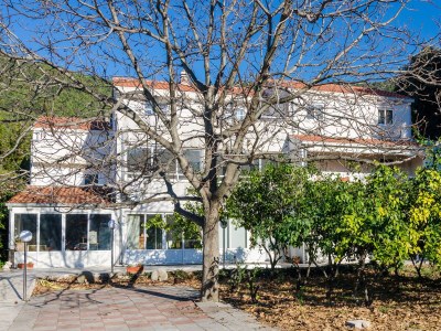 Apartment Two bedroom apartment with terrace Žuljana, Pelješac A-4574-a in Zuljana - Apartment