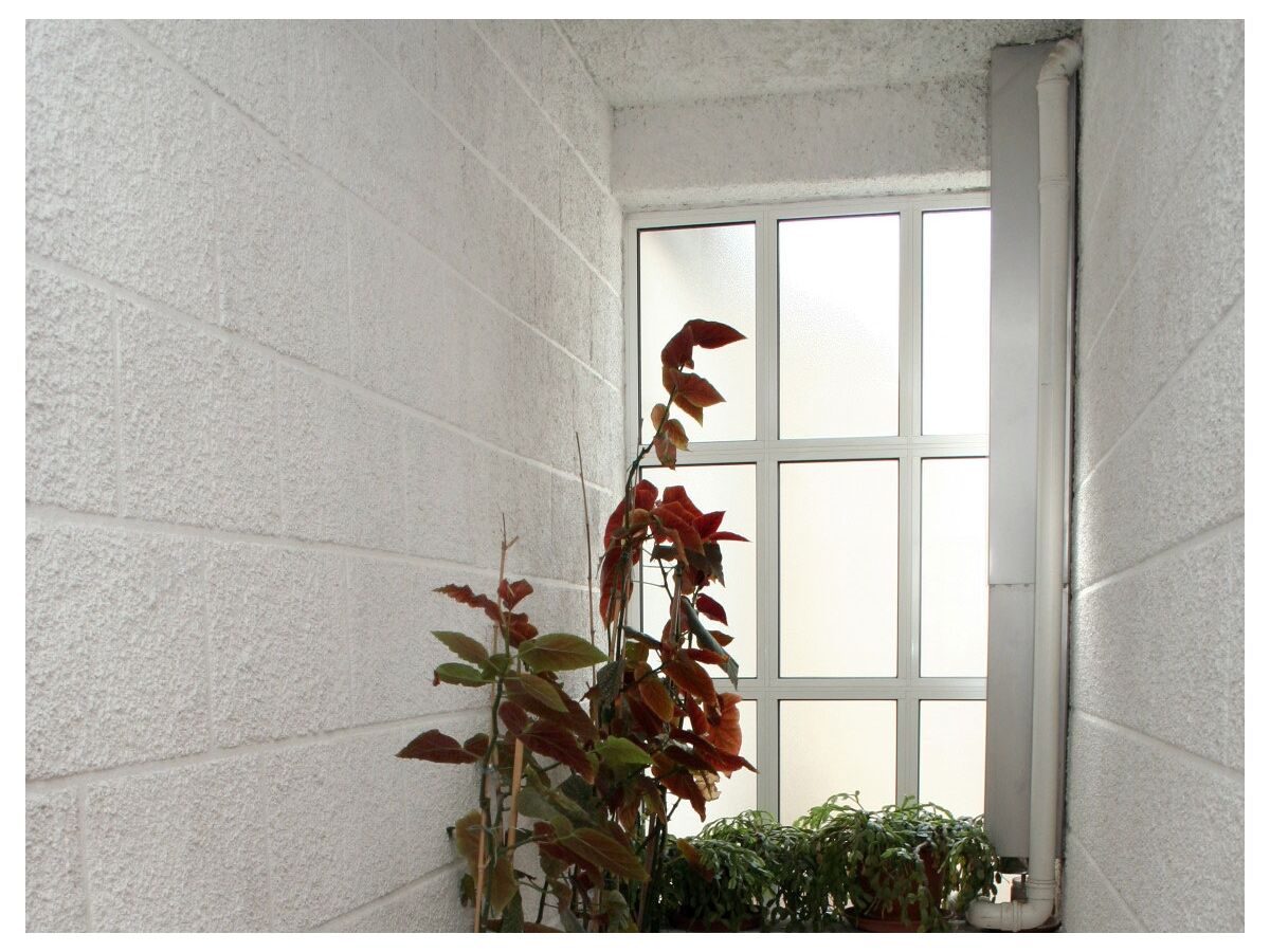 Apartment One bedroom apartment near beach Žuljana, Pelješac A-4577-b - Outdoor photo 3