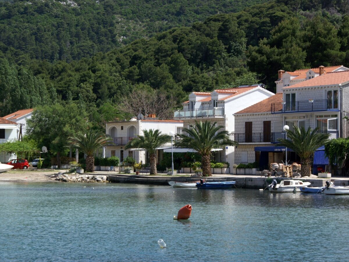 Apartment One bedroom apartment near beach Žuljana, Pelješac A-4577-c