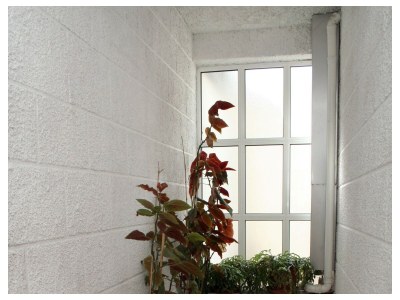 Apartment One bedroom apartment near beach Žuljana, Pelješac A-4577-c - Outdoor photo 3