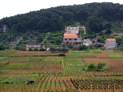 Apartment One bedroom apartment with terrace and sea view Lumbarda, Korčula A-4352-b - Outdoor photo 3