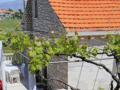Apartment One bedroom apartment with terrace and sea view Lumbarda, Korčula A-4352-b - Outdoor photo 10