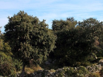 Apartment Two bedroom apartment with terrace Ražanj, Rogoznica A-4838-a - Outdoor photo 16