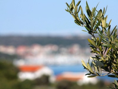 Apartment Studio flat with terrace and sea view Ražanj, Rogoznica AS-4864-a - Outdoor photo 27