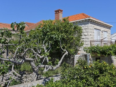 Apartment Two bedroom apartment with terrace Lumbarda, Korčula A-4473-a - Outdoor photo 4