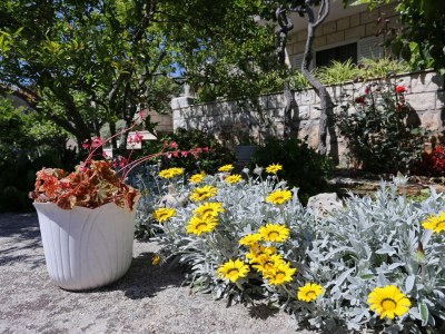 Apartment Two bedroom apartment with terrace Lumbarda, Korčula A-4473-a - Outdoor photo 10