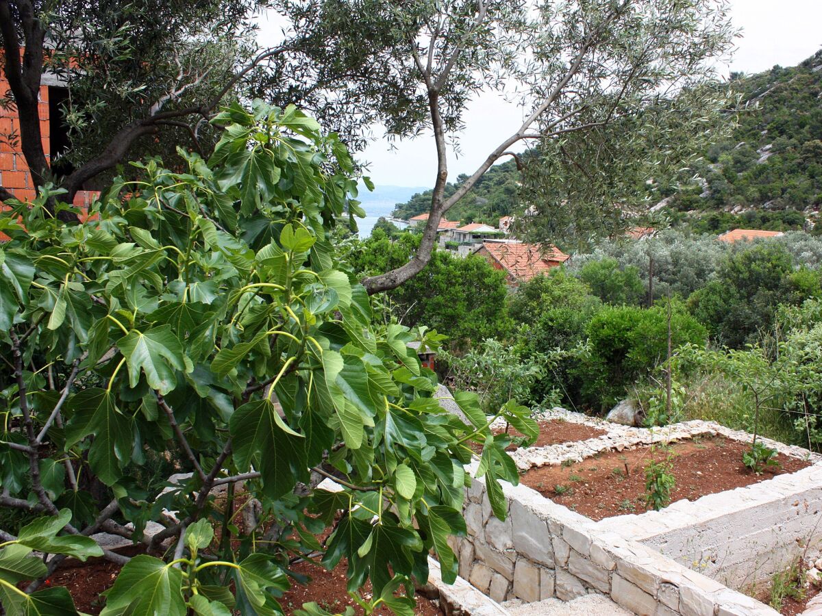 Apartment One bedroom apartment near beach Prožurska Luka, Mljet A-4940-a - Outdoor photo 5