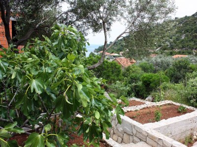 Apartment One bedroom apartment near beach Prožurska Luka, Mljet A-4940-a - Outdoor photo 5