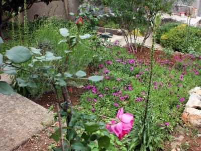 Apartment One bedroom apartment near beach Prožurska Luka, Mljet A-4940-a - Outdoor photo 7