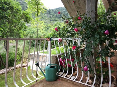 Apartment One bedroom apartment near beach Prožurska Luka, Mljet A-4940-a - Outdoor photo 25