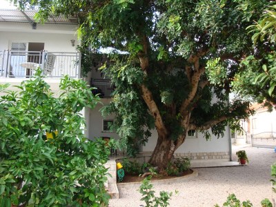 Apartment Studio flat with terrace Orebić, Pelješac AS-4490-a - Outdoor photo 7