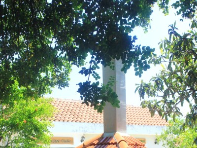 Apartment Studio flat with terrace Orebić, Pelješac AS-4490-a - Outdoor photo 8