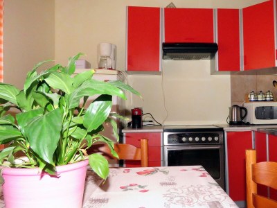 Apartment One bedroom apartment with balcony and sea view Barbat, Rab A-4988-a - Outdoor photo 16