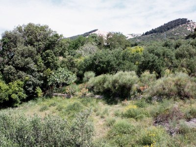 Apartment One bedroom apartment with balcony and sea view Barbat, Rab A-4988-a - Outdoor photo 35