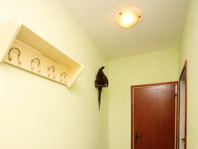 Apartment One bedroom apartment with terrace and sea view Barbat, Rab A-4988-b - Outdoor photo 27