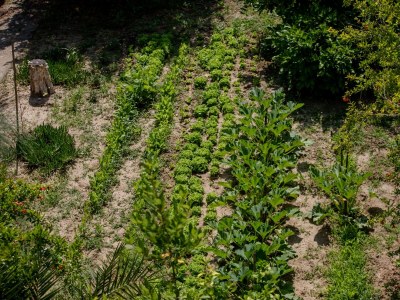 Apartment Three bedroom apartment with terrace Palit, Rab A-4990-a - Outdoor photo 19