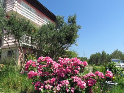 Apartment One bedroom apartment with terrace and sea view Barbat, Rab A-4988-d - Outdoor photo 10