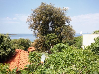 Apartment Two bedroom apartment with balcony and sea view Supetarska Draga - Gonar, Rab A-4999-a - Outdoor photo 27