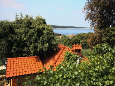 Apartment Two bedroom apartment with balcony and sea view Supetarska Draga - Gonar, Rab A-4999-a - Outdoor photo 30
