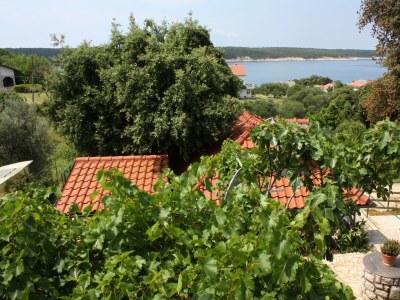 Apartment One bedroom apartment with balcony and sea view Supetarska Draga - Gonar, Rab A-4999-b - Outdoor photo 23