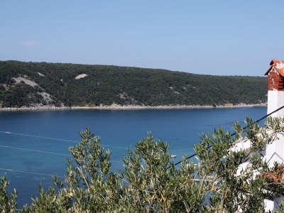 Apartment Three bedroom apartment with terrace and sea view Kampor, Rab A-5032-a - Outdoor photo 31