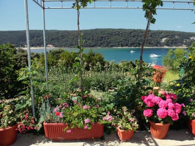 Apartment Three bedroom apartment with terrace and sea view Kampor, Rab A-5032-a - Outdoor photo 42