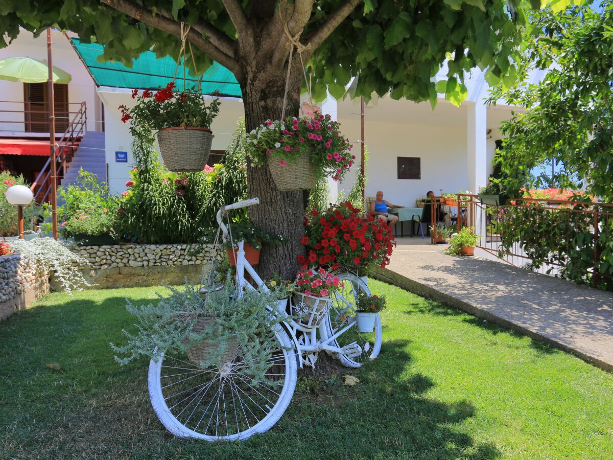 Apartment One bedroom apartment with terrace and sea view Živogošće - Blato, Makarska A-1057-c