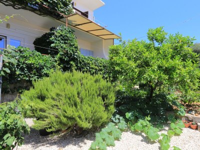 Apartment One bedroom apartment with terrace and sea view Živogošće - Blato, Makarska A-1057-c - Outdoor photo 8