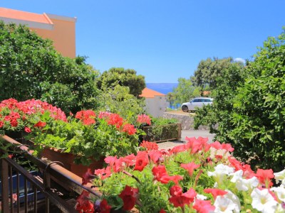 Apartment One bedroom apartment with terrace and sea view Živogošće - Blato, Makarska A-1057-c - Outdoor photo 9