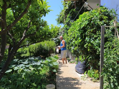 Apartment One bedroom apartment with terrace and sea view Živogošće - Blato, Makarska A-1057-c - Outdoor photo 11