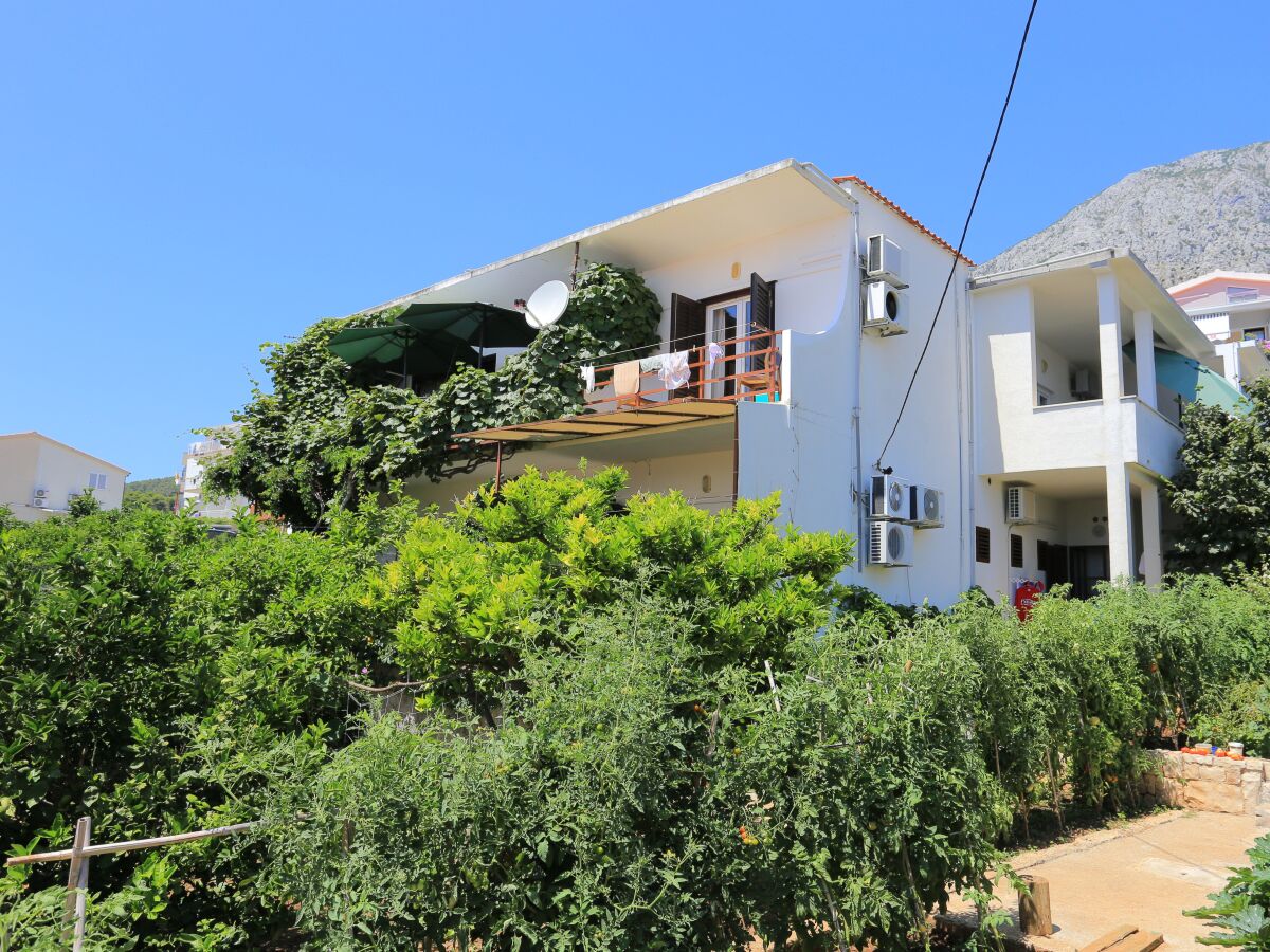 Apartment Two bedroom apartment with terrace and sea view Živogošće - Blato, Makarska A-1057-d - Outdoor photo 4