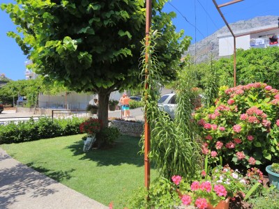 Apartment Two bedroom apartment with terrace and sea view Živogošće - Blato, Makarska A-1057-d - Outdoor photo 8