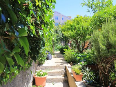 Apartment Studio flat with terrace Živogošće - Blato, Makarska AS-1057-b - Outdoor photo 13