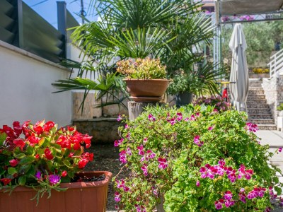 Apartment One bedroom apartment with balcony and sea view Slatine, Čiovo A-6000-b - Outdoor photo 18