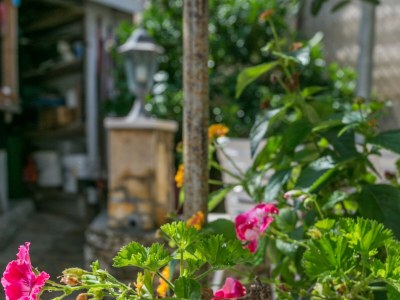 Apartment One bedroom apartment with balcony and sea view Slatine, Čiovo A-6000-b - Outdoor photo 19